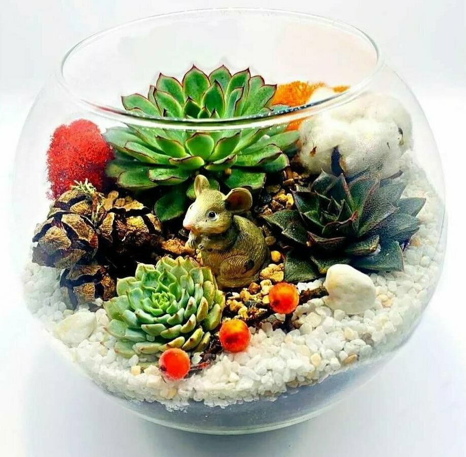 Флорариум флорариум, флорариум суккуленты, флорариум это, мини флорариум, москва флорариум, флорариума, флорариумов, флорариум растения, суккуленты флорариумы, растения флорариум, флорариум с , флорариум в , флорариумами , флорариумах, флорариумом, флорариуме, мини сад, бутылка сад , композиция суккулент, создавать флорариум, другой кактус суккулент, интересный класс мастер, флорариум мастер класс, флорариум мастер класс в москве, флорариум своими руками мастер класс, мастер класс суккуленты флорариум, мастер класс по изготовлению флорариумов, флорариум в аквариуме своими руками мастер класс, мастер класс москва
